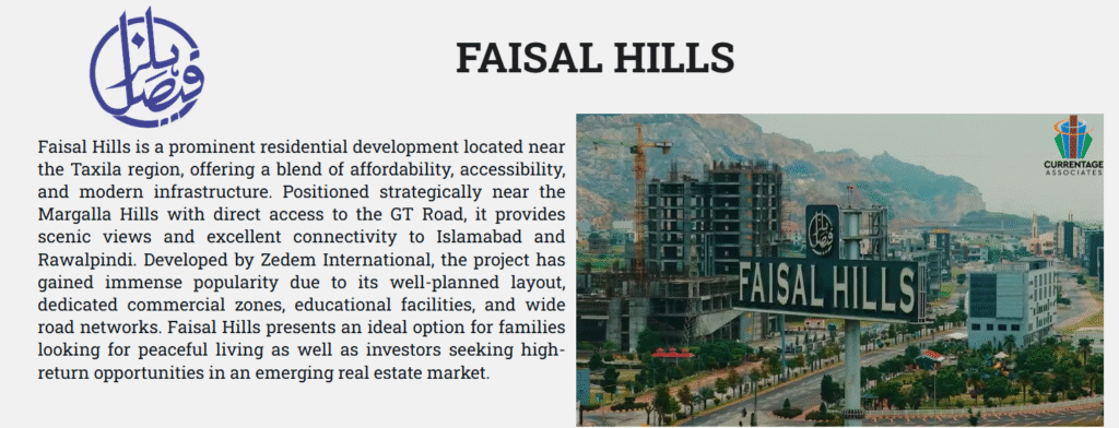 Faisal Hills